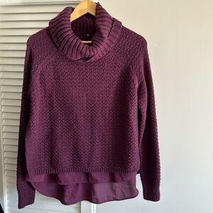 The Limited Sweater with liner